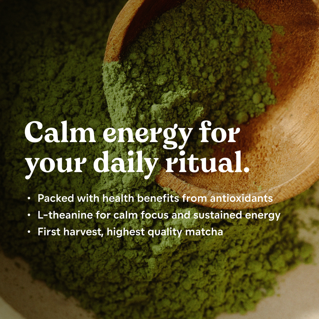 The Matcha Discovery Set